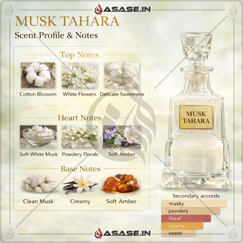 Musk Tahara powdery floral musk fragrance